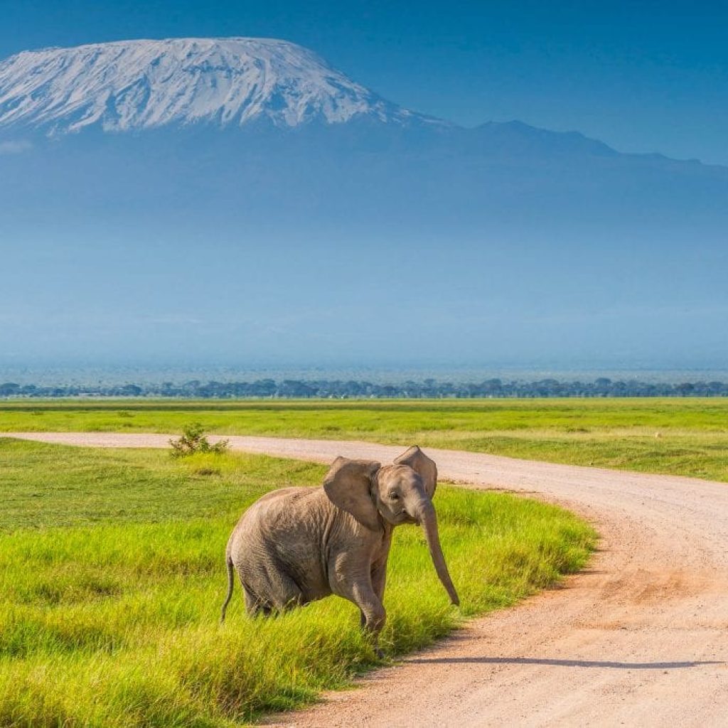 Amboseli-National-Park